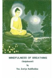 Mindfulness of Breathing (Anapanasati)