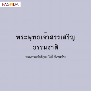 กตัญญูต่อธรรมชาติ รูปภาพ 1