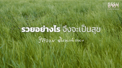 รวยอย่างไรจึงจะเป็นสุข รูปภาพ 1