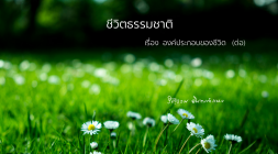 3. องค์ประกอบของชีวิต (ต่อ) รูปภาพ 1