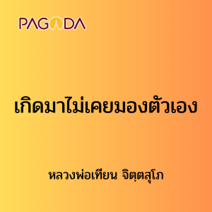 ๓ เกิดมาไม่เคยมองตัวเอง รูปภาพ 1