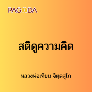 ๖ สติดูความคิด รูปภาพ 1
