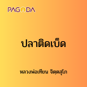 ๒๗ ปลาติดเบ็ด รูปภาพ 1