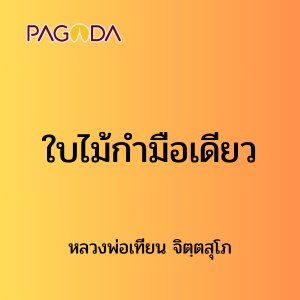 ๔๐ ใบไม้กำมือเดียว รูปภาพ 1