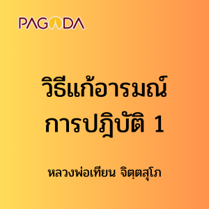 ๔๒ วิธีแก้อารมณ์การปฎิบัติ 1 รูปภาพ 1