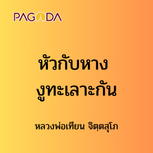 ๔๘ หัวกับหาง งูทะเลาะกัน รูปภาพ 1