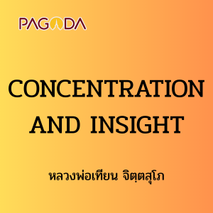 ๖๔ CONCENTRATION AND INSIGHT รูปภาพ 1