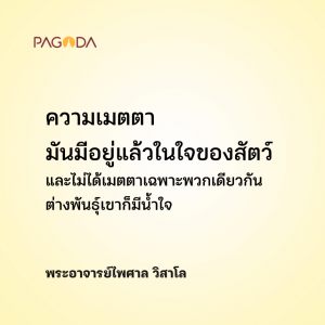 สัตว์ก็มีน้ำใจไม่แพ้คน รูปภาพ 1