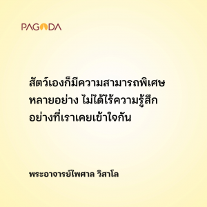 เพื่อนยามยาก รูปภาพ 1