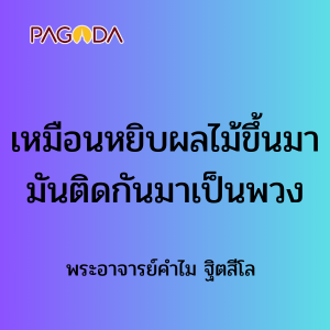 เหมือนหยิบผลไม้ขึ้นมา มันติดกันมาเป็นพวง รูปภาพ 1