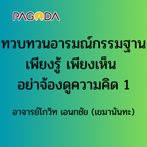 ทวบทวนอารมณ์กรรมฐาน เพียงรู้ เพียงเห็น อย่าจ้องดูความคิด 1 รูปภาพ 1