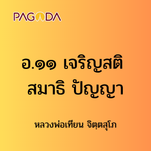 อ.๑๑ เจริญสติ สมาธิ ปัญญา รูปภาพ 1