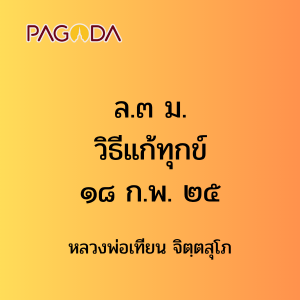 ล.๓ ม. วิธีแก้ทุกข์ ๑๘ ก.พ. ๒๕ รูปภาพ 1