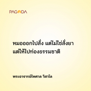 ใช้ป่าเยียวยาโรคซึมเศร้า รูปภาพ 1