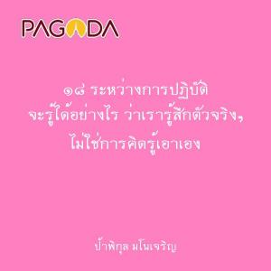 ๑๘ ระหว่างการปฏิบัติ จะรู้ได้อย่างไร ว่าเรารู้สึกตัวจริงๆ ไม ... รูปภาพ 1