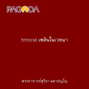 551014 เพลินในเวทนา รูปภาพ 1