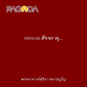 561014 สัจจธาตุ...สัจธรรม ในคำสอนของหลวงพ่อเทียน 3 3 รูปภาพ 1