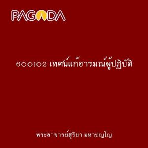 600102 เทศน์แก้อารมณ์ผู้ปฏิบัติ รูปภาพ 1