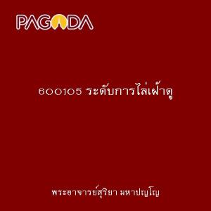 600105 ระดับการไล่เฝ้าดู รูปภาพ 1