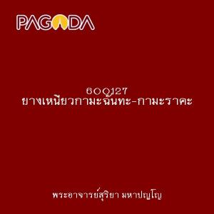 600127 ยางเหนียวกามะฉันทะ-กามะราคะ รูปภาพ 1