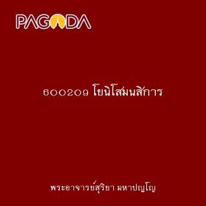 600209 โยนิโสมนสิการ รูปภาพ 1