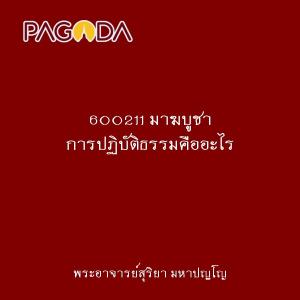 600211 มาฆบูชา การปฏิบัติธรรมคืออะไร รูปภาพ 1