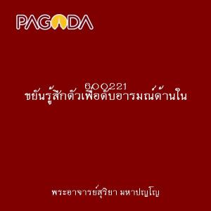 600221 ขยันรู้สึกตัวเพื่อดับอารมณ์ด้านใน รูปภาพ 1