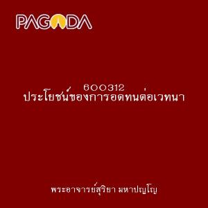 600312 ประโยชน์ของการอดทนต่อเวทนา รูปภาพ 1