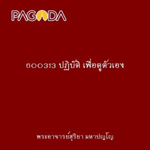 600313 ปฏิบัติ เพื่อดูตัวเอง รูปภาพ 1