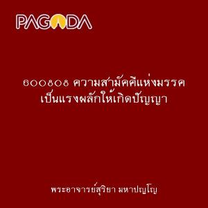 600808 ความสามัคคีแห่งมรรค เป็นแรงผลักให้เกิดปัญญา รูปภาพ 1