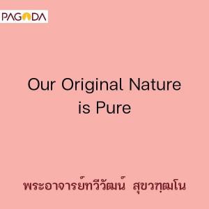Our Original Nature is Pure รูปภาพ 1