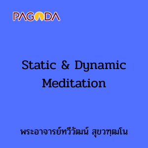 Static &amp; Dynamic Meditation รูปภาพ 1