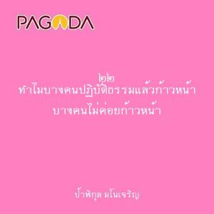 ๒๒ ทำไมบางคนปฏิบัติธรรมแล้วก้าวหน้า บางคนไม่ค่อยก้าวหน้า รูปภาพ 1