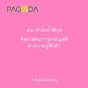 ๔๓ ทำไมป้าพิกุล จึงมาสอนการเจริญสติ ทำความรู้สึกตัว รูปภาพ 1