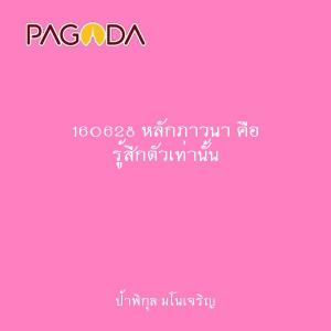 160628 หลักภาวนา คือ รู้สึกตัวเท่านั้น รูปภาพ 1