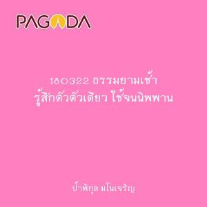 180322 ธรรมยามเช้า รู้สึกตัวตัวเดียว ใช้จนนิพพาน รูปภาพ 1
