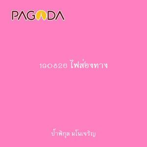 190826 ไฟส่องทาง รูปภาพ 1