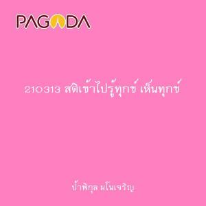 210313 สติเข้าไปรู้ทุกข์ เห็นทุกข์ รูปภาพ 1