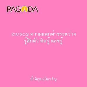 210503 ความแตกต่างระหว่าง รู้สึกตัว คิดรู้ หลงรู้ รูปภาพ 1