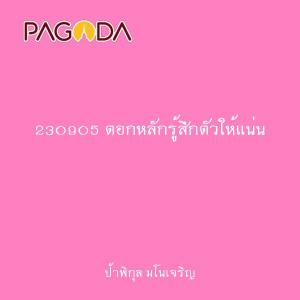 230905 ตอกหลักรู้สึกตัวให้แน่น รูปภาพ 1