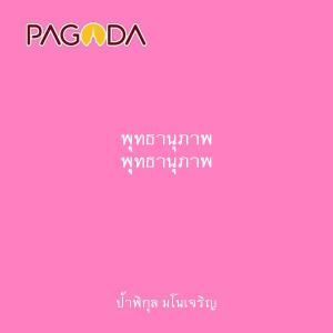 พุทธานุภาพ รูปภาพ 1