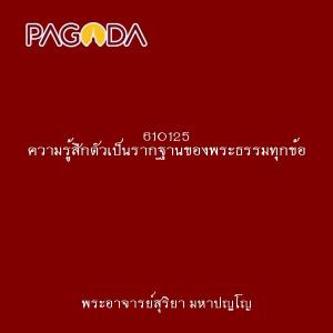 610125 ความรู้สึกตัวเป็นรากฐานของพระธรรมทุกข้อ รูปภาพ 1