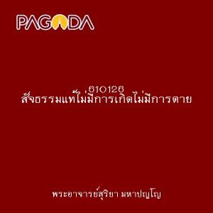 610126 สัจธรรมแท้ไม่มีการเกิดไม่มีการตาย รูปภาพ 1