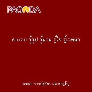 610211 รู้รูป รู้นาม รู้ใจ รู้เวทนา รูปภาพ 1