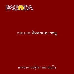 611026 ดินพอกหางหมู รูปภาพ 1