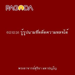 621231 รู้รูปนามชัดตัดความหลงได้ รูปภาพ 1