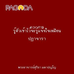 630715 รู้ตัวเข้าไว้จะรู้แจ้งใจเหมือน ปฏาจารา รูปภาพ 1