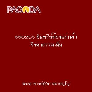 660205 อินทรีย์ต้องแก่กล้า จึงหาธรรมเห็น รูปภาพ 1