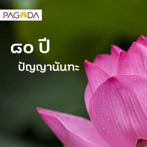 80 ปี ปัญญานันทะ รูปภาพ 1