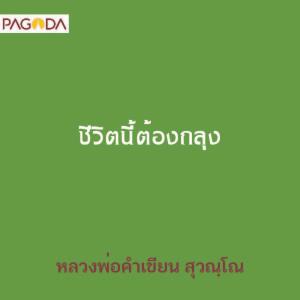 ชีวิตนี้ต้องถลุง รูปภาพ 1